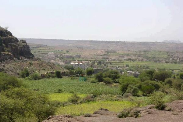الضالع: مقتل ثلاثة مواطنين في انفجار "لغم" زرعته المليشيا في إحدى القرى غرب "مريس"