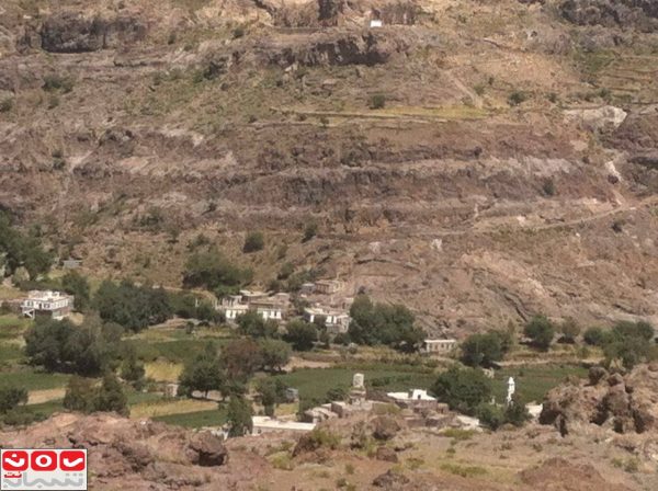 الضالع: الحوثيون يفجرون ثلاثة منازل بقرية رمه والتحالف يستهدف مواقعهم جنوب دمت