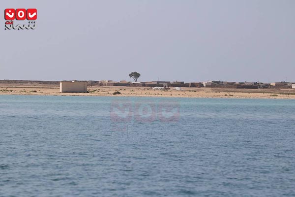 " يمن شباب نت" تزور جزيرة الفشت المعزولة بميدي وترصد معاناة سكانها