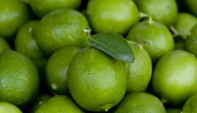 دراسة حديثة تكشف فوائد الليمون  في علاج السرطان
