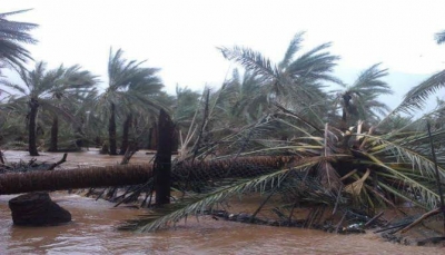 سقطرى تغرق بالفيضانات.. 21 مفقود وإجلاء أكثر من 200 أسرة والإعصار مستمر