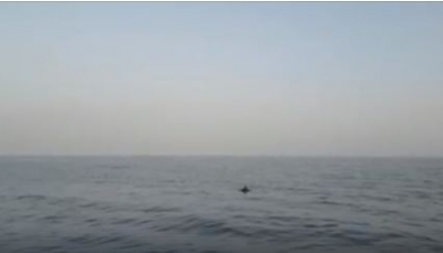 حجة: قوات التشكيل البحري تعثر على 13 لغما بحريا قبالة سواحل "ميدي"