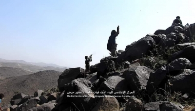 حجة: الجيش يتقدم في حرض ويكسر خط الدفاع الأول للمليشيات في "عاهم"