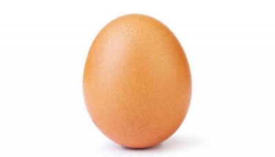 كشف النقاب عن صاحب حساب "البيضة الشهيرة" التي حصلت على 52 مليون إعجاب