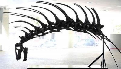 اكتشاف نوع جديد من الديناصورات عاشت منذ 140 مليون سنة
