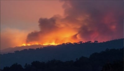 حرائق الغابات تدمر 30 منزلا و100 ألف هكتار في أستراليا خلال أسبوع