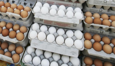 دراسة حديثة تكشف أن استهلاك البيض قد يتسبب بأمرض القلب