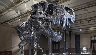 اكتشاف أكبر ديناصور في العالم!
