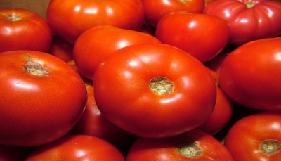 تحمي الكبد وتكافح السرطان.. تعرف الفوائد المذهلة للطماطم