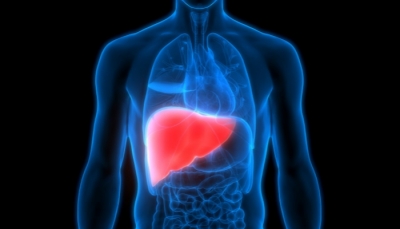 ثلاثة أعراض خفية قد تشير إلى مشكلات في الكبد