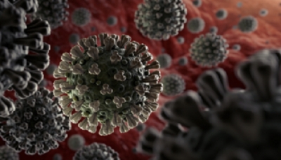 دراسة: تخلص الجسم من فيروس كورونا الجديد يحتاج 20 يوما