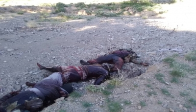 البيضاء: العثور على جثث لثلاثة أشخاص قتلتهم ميليشيا الحوثي بطريقة وحشية