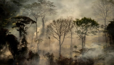 حرائق  جديدة هائلة في غابات الأمازون مع بداية موسم الجفاف (فيديو)