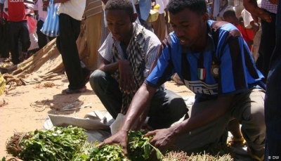 رويترز: نقص القات بسبب فيروس كورونا يفاقم المشاكل الصحية في الصومال