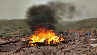 حجة: الجيش يضبط كميات من الحشيش تابعة للحوثيين في "حرض"