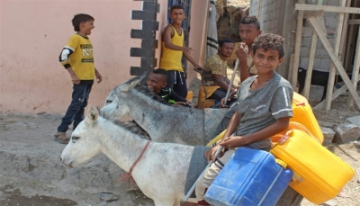 المصاعب الاقتصادية وأزمة الوقود تعيد الحمير للخدمة في شوارع عدن