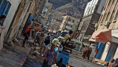 السلطات الأمنية تطارد "الحمير" في شوارع مدينة عدن