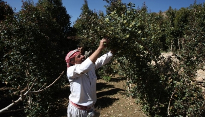 ارتفاع التكاليف يهجّر مزارعين يمنيين من أراضيهم