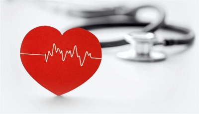 علماء يقترحون طريقة بسيطة للتحقق من صحة القلب