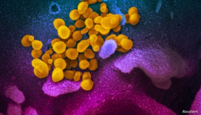 فرنسا تسجل أول حالة إصابة بـ"السلالة الجديدة" من فيروس كورونا