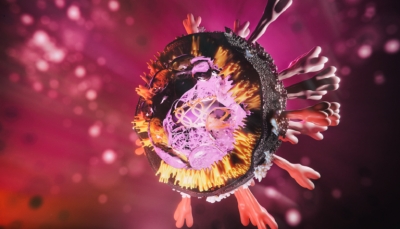 هل سيختفي فيروس كورونا إلى الأبد؟