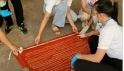 استخراج دودة من أمعاء رجل في تايلاند طولها "18 مترا"