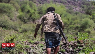 مقتل وإصابة عشرات الحوثيين في معارك غربي تعز