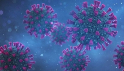 منظمة الصحة العالمية تزف بشرى حول لقاحات فيروس كورونا