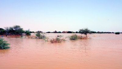 أطلقت "وحْل" عبر سد النهضة.. القاهرة تتهم إثيوبيا بـ"تعكير" مياه الشرب في السودان