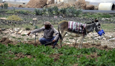 الآبار العشوائية تستنزف موارد اليمن المائية.. والقات يعمّق الأزمة