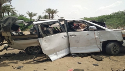مسؤولة أممية: الحديدة أكثر المحافظات اليمنية تضرراً من الألغام