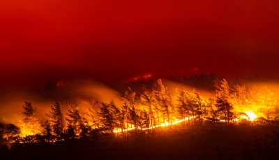 حرائق الغابات تستعر في اليونان وتلتهم 30الف هكتار والأمطار تخفف وطأتها في تركيا
