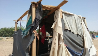الهجرة الدولية: 192 أسرة يمنية نزحت الأسبوع الماضي بسبب تصاعد القتال والفيضانات