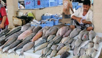 يمنيون جوعي يعزون ارتفاع أسعار الأسماك إلى التصدير