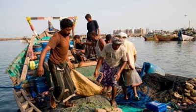 اليمن يحاول انتشال قطاع الأسماك المدمّر كفرصة لزيادة الإيرادات العامة