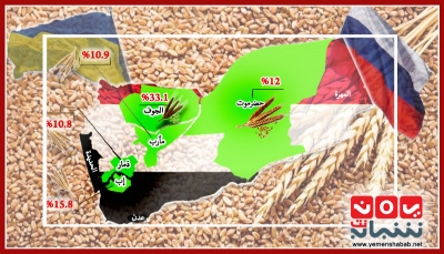 ناقوس الخطر يدق أبواب العالم.. تحديات وحلول أمام اليمن في توسيع زراعة القمح
