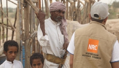 المجلس النرويجي: انخفاض أعداد الضحايا المدنيين إلى النصف منذ بدء الهُدنة في اليمن