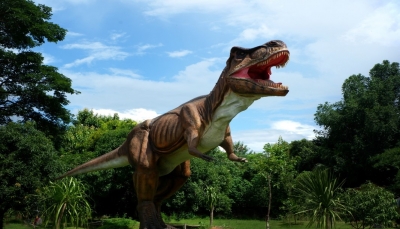 عاش قبل 160 مليون عام.. العثور على هيكل عظمي لأكبر ديناصور في أوروبا