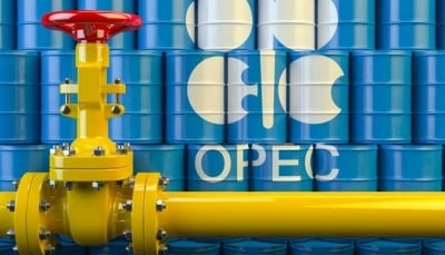 الولايات المتحدة تطالب دول أوبك+ بعدم خفض إنتاج النفط 