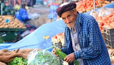 في ظل الهدنة.. الأمم المتحدة تتوقع تحسن هامشي للأمن الغذائي في اليمن