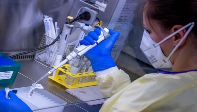 مفاجأة مدوية.. علماء ألمان يعثرون على دليل عن أصل منشأ فيروس كورونا