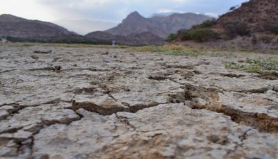 اليمن.. تحذيرات دولية من انهيار قطاع الزراعة بسبب الجفاف والفيضانات