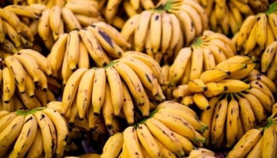 لماذا فاكهة "الموز" ليست مناسبة في فصل الشتاء؟