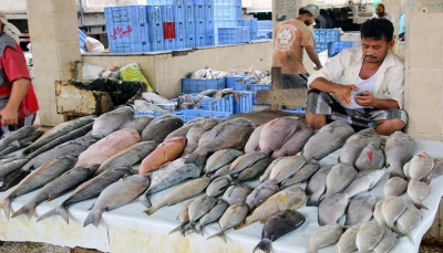 العليمي يوجه بتشكيل لجنة وزارية لضبط أسعار الأسماك والأحياء البحرية