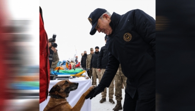 "سيلا".. كلبة مدربة تنقذ 12 شخصاً بزلزال تركيا