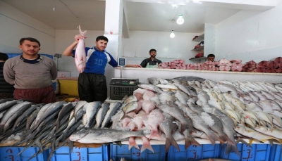 حظر تصدير الأسماك.. قرار "مجحف" يضاعف معاناة الصيادين في اليمن (تقرير خاص)
