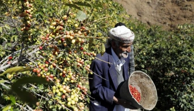 اليمن يطالب بتحديث نقطة اتصاله بمركز "اكساد" لتبادل الخبرات في المجال الزراعي