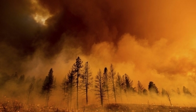 ما الذي يجعل دخان حرائق الغابات مدمراً للصحة وشديد الخطورة؟