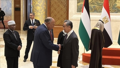 الصين ودول عربية وإسلامية تدعو إلى وقف الحرب الإسرائيلية على غزة