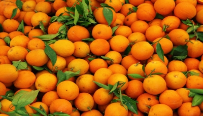ما فوائد أكل البرتقال قبل النوم؟